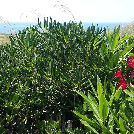 Xrobb L Ghagin * Marsaxlokk