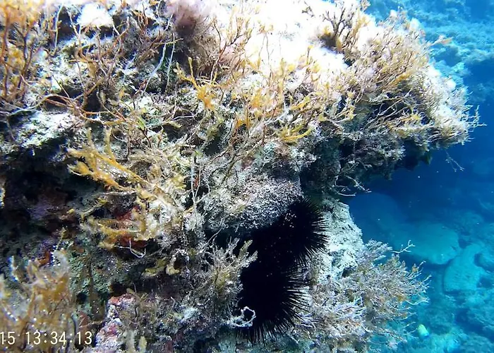 Xrobb L Ghagin بيت شباب مرسلوك