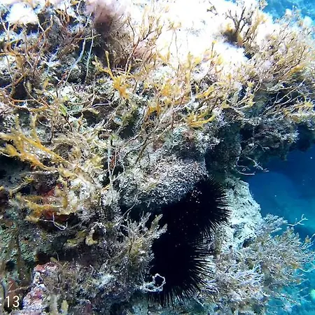 Xrobb L Ghagin Хостел Марсашлокк