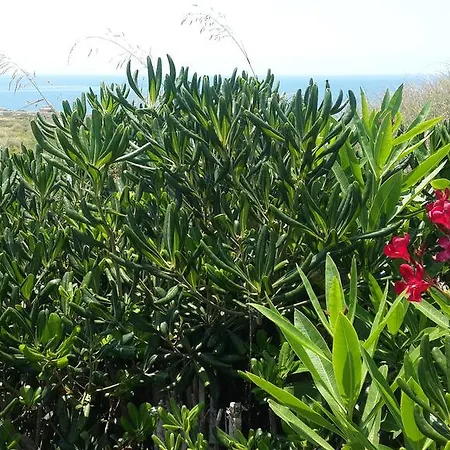 Xrobb L Ghagin * Marsaxlokk