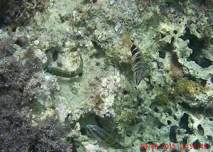 Xrobb L Ghagin * Marsaxlokk