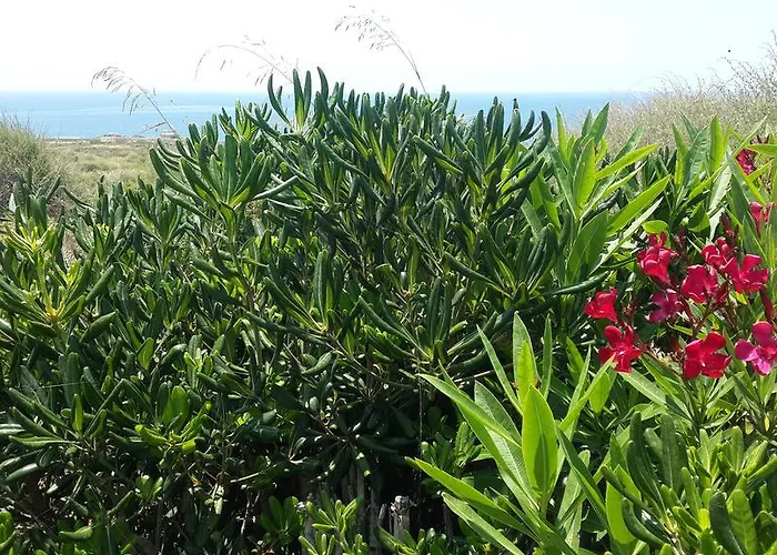 Xrobb L Ghagin * Marsaxlokk